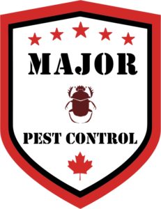 Best Pest Control Calgary. Exterminator Calgary Major Pest Control.