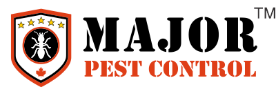 Best Pest Control Calgary. Pest Control Exterminator Calgary Area