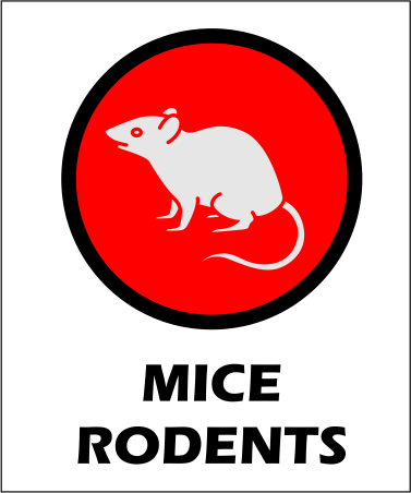 mouse and rodent control calgary pest company. mouse extermination service in calgary icon for mouse control and rodent control