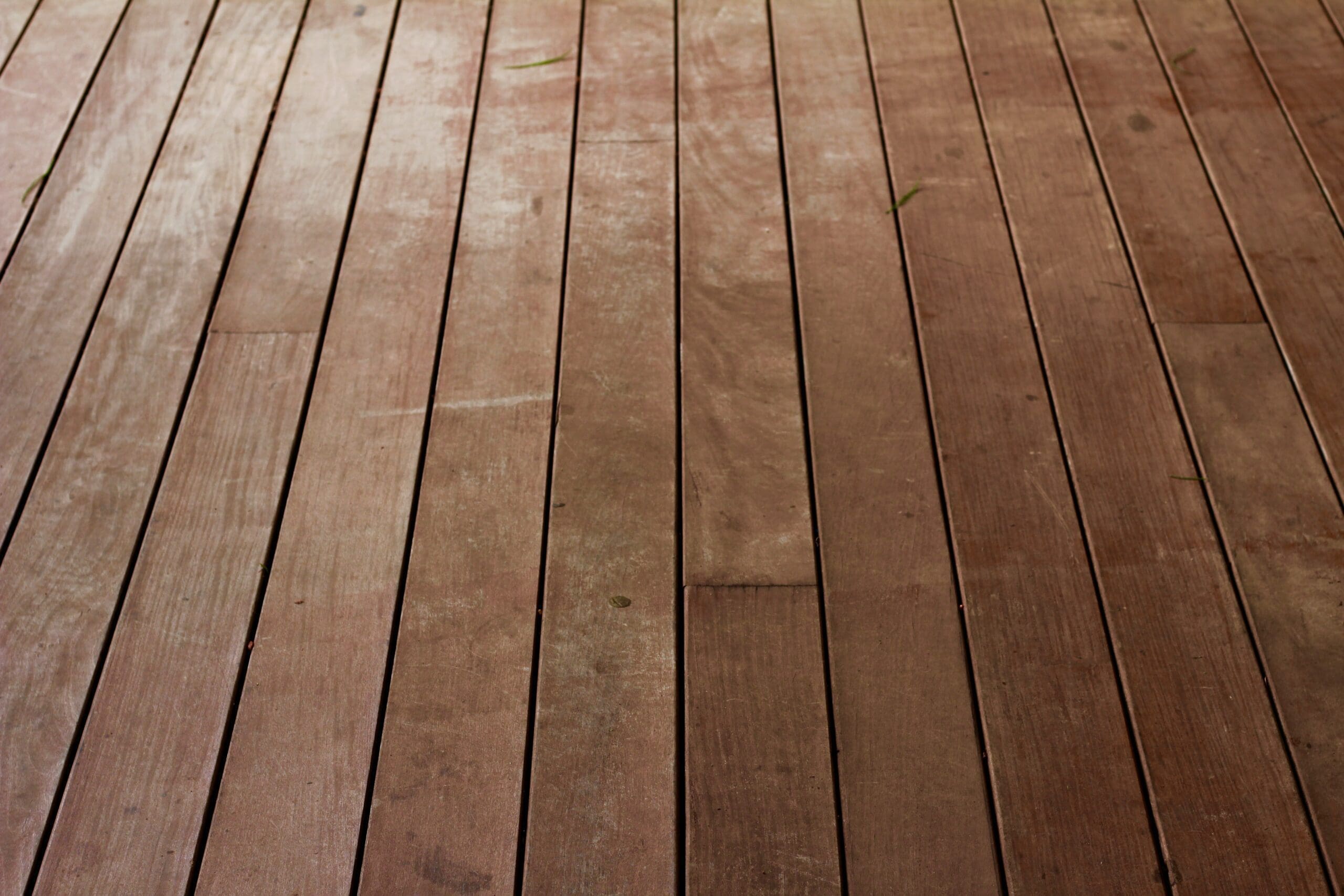 Mice like Loose and Broken Floorboards and Baseboards