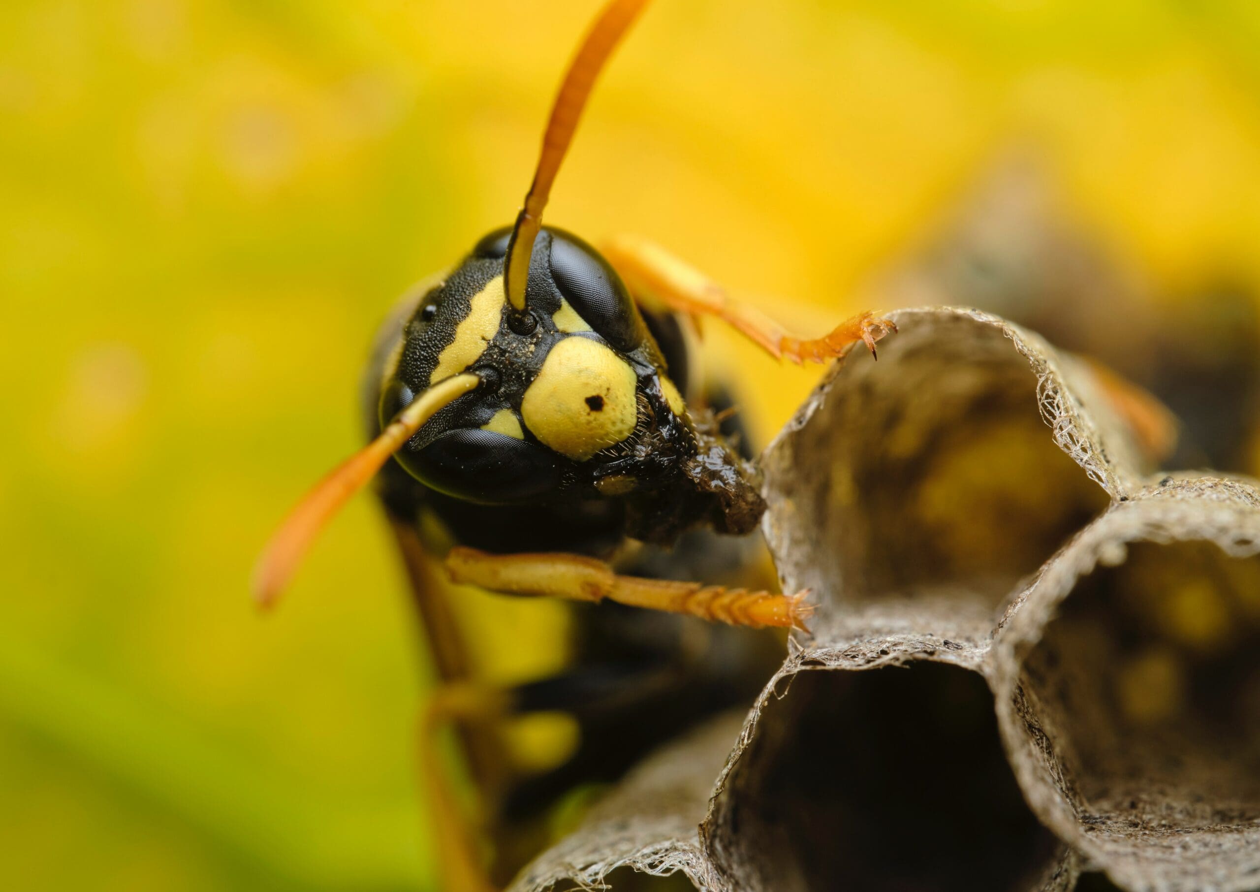 victor grabarczyk fZSz a9rBx4 unsplash scaled