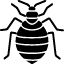 bed bug icon