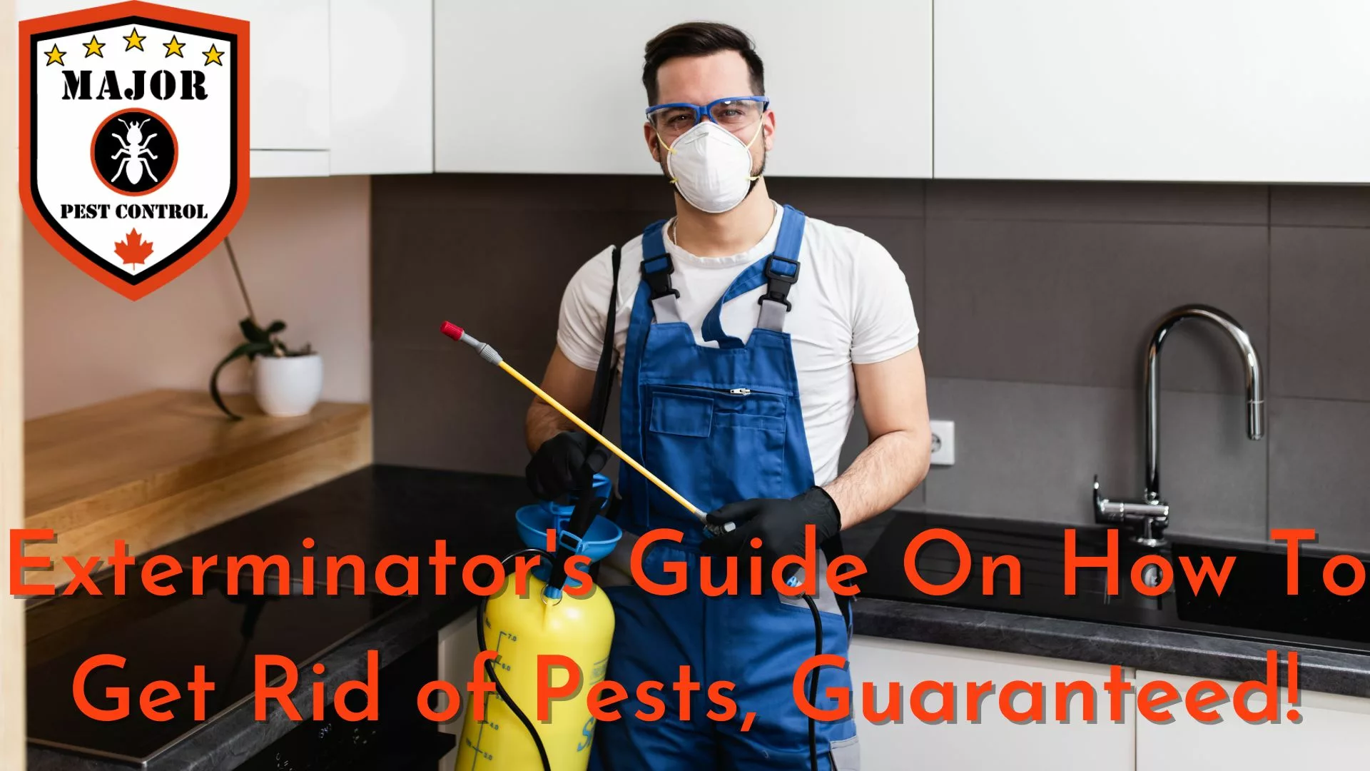 In-Depth Guide On How To Get Rid of Pests, Guaranteed!