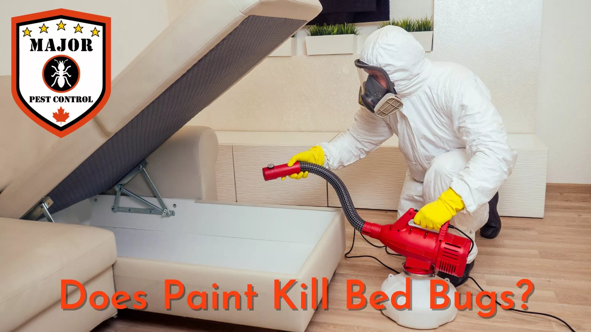 Does Paint Kill Bed Bugs In Calgary?