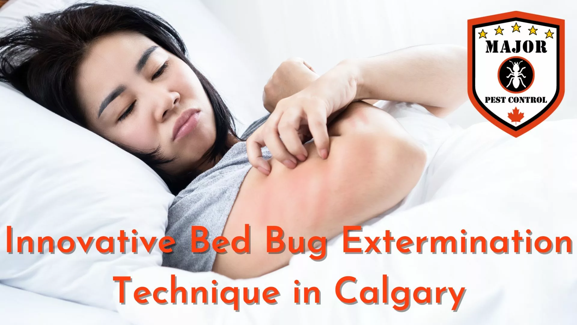 Innovative Bed Bug Extermination Technique in Calgary