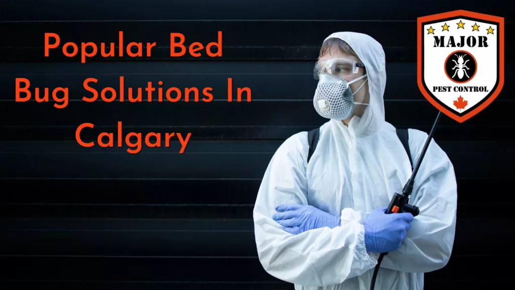 Popular Bed Bug Solutions In Calgary
