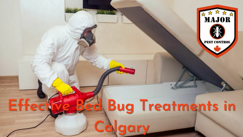Effective Bed Bug Treatments in Calgary - Learn About The Secret Weapon Against Bed Bugs!