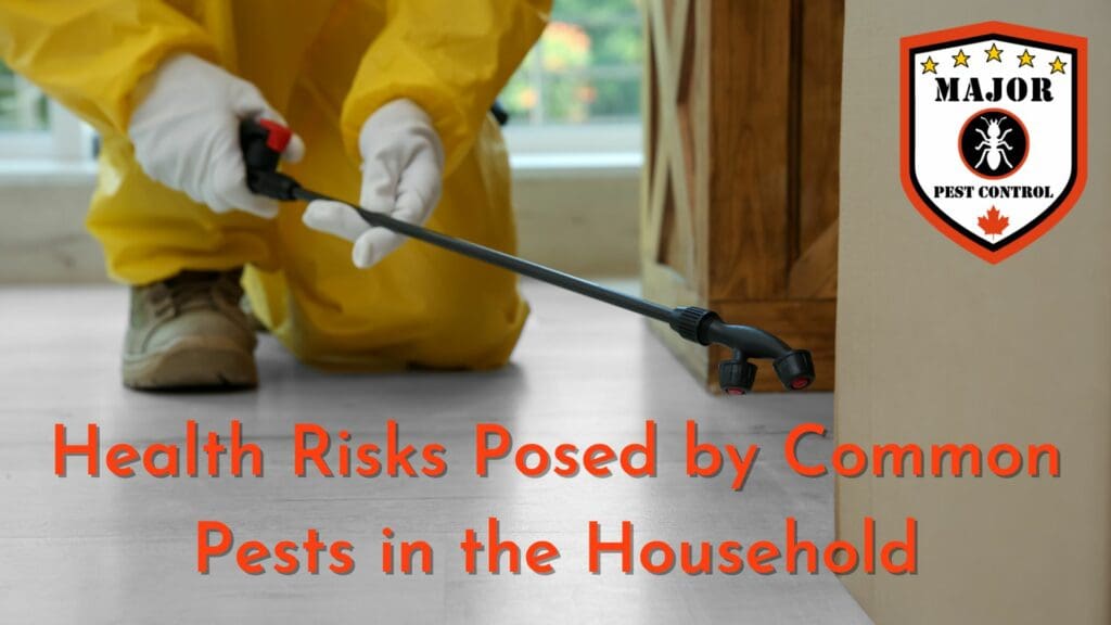 Health Risks Posed by Common Pests in the Household