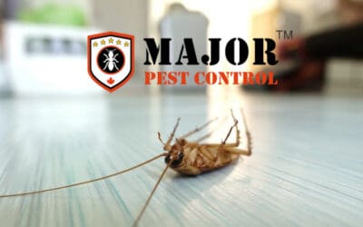 Outsmart Pests: Simple Strategies for Household Pest Control