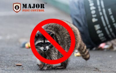 7 Game-Changing Tips to Keep Raccoons Out of Your Home for Good