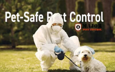 Ultimate Guide to Pet-Safe Pest Control: Protecting Your Home and Furry Friends