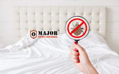 10 Holiday Season Tips to Stay Bed Bug-Free and Stress-Free!