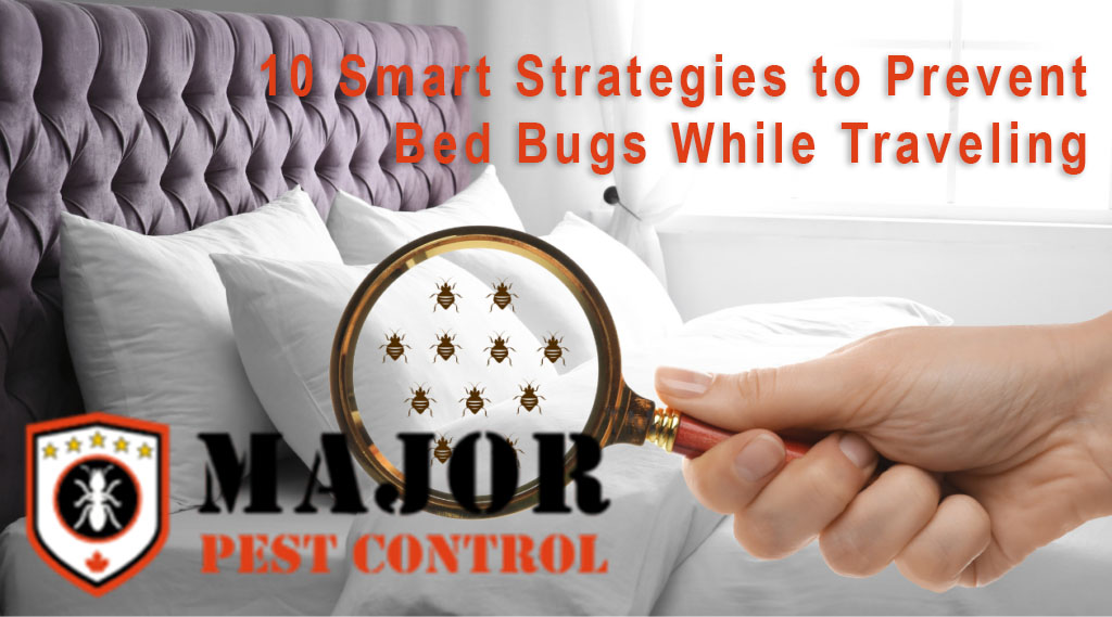 10 Smart Strategies to Prevent Bed Bugs While Traveling