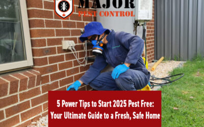 5 Power Tips to Start 2025 Pest-Free: Your Ultimate Guide to a Fresh, Safe Home